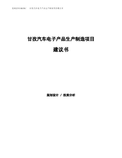 甘孜汽车电子产品生产制造项目建议书