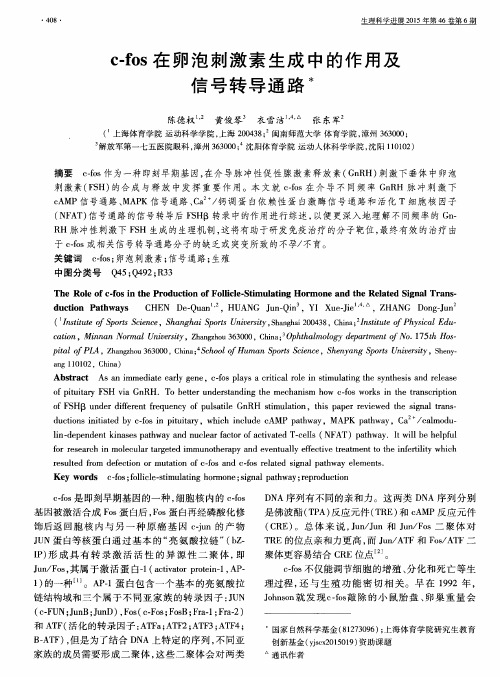 c-fos在卵泡刺激素生成中的作用及信号转导通路