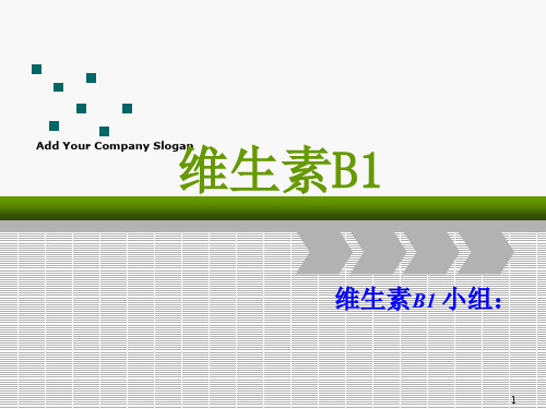 维生素B1ppt课件