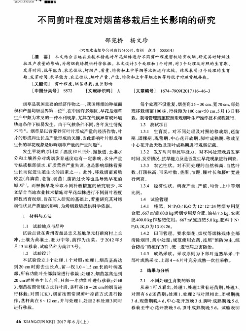 不同剪叶程度对烟苗移栽后生长影响的研究