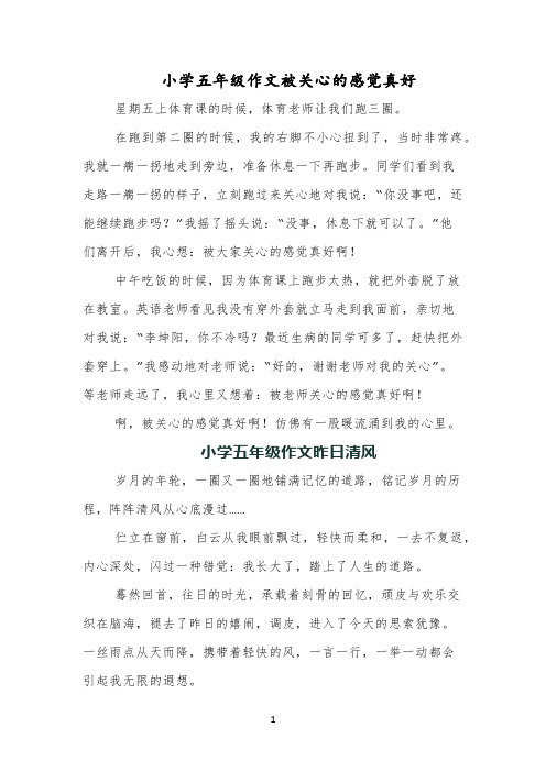 小学五年级作文被关心的感觉真好