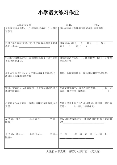 小学六年级语文拓展训练III (82)