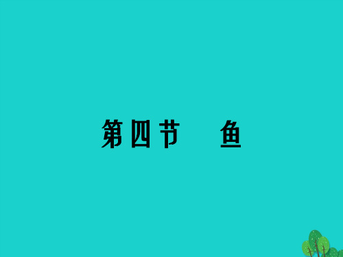 八年级生物上册 第五单元 第一章 第四节 鱼课件 (新版)新人教版