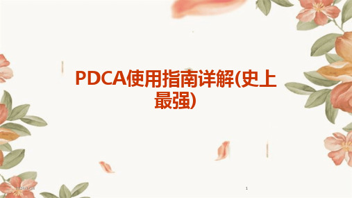 2024版PDCA使用指南详解(史上最强)