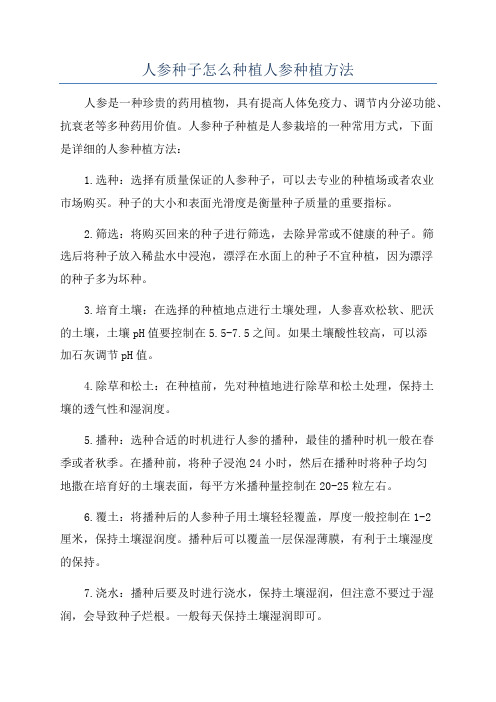 人参种子怎么种植人参种植方法