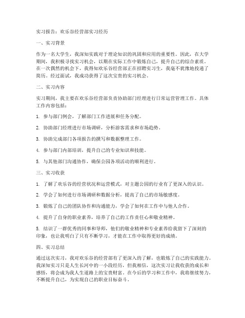 欢乐谷经营部实习报告