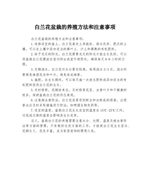 白兰花盆栽的养殖方法和注意事项