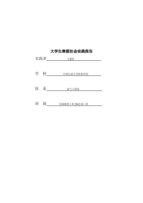 2013大学生寒假社会实践报告