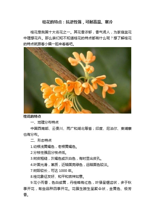 桂花的特点：抗逆性强，可耐高温、寒冷