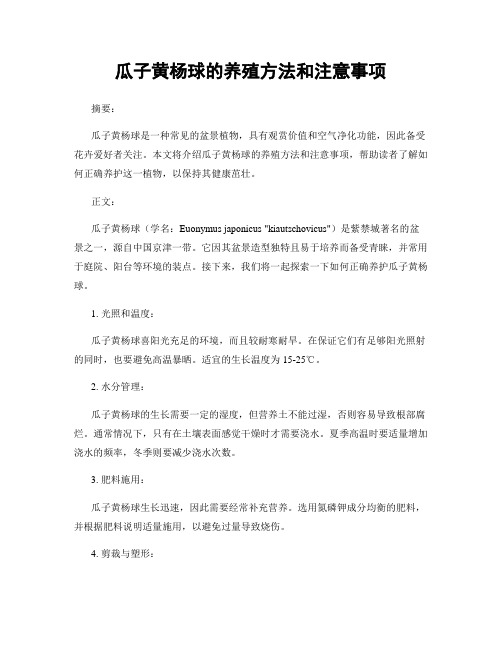 瓜子黄杨球的养殖方法和注意事项