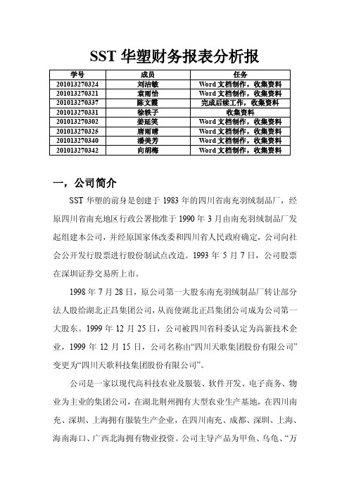 sst华塑财务报表分析报告