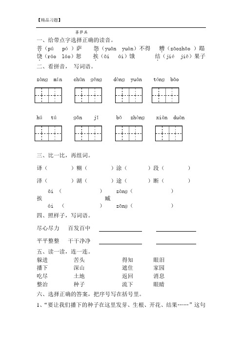 三年级语文菩萨兵练习题