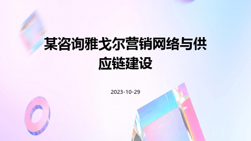 某咨询雅戈尔营销网络与供应链建设