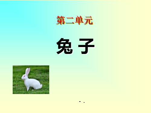 《兔子》PPT