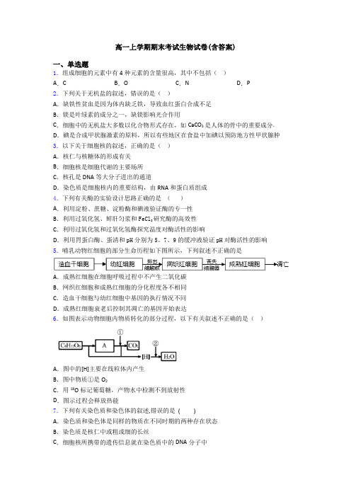 高一上学期期末考试生物试卷(含答案)