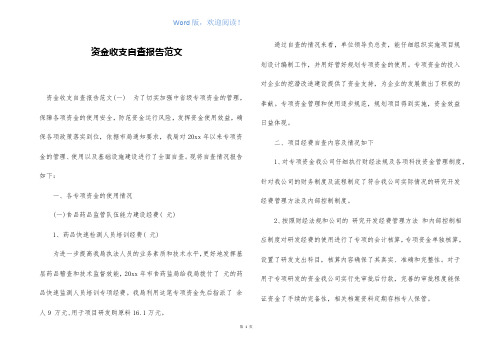 资金收支自查报告范文