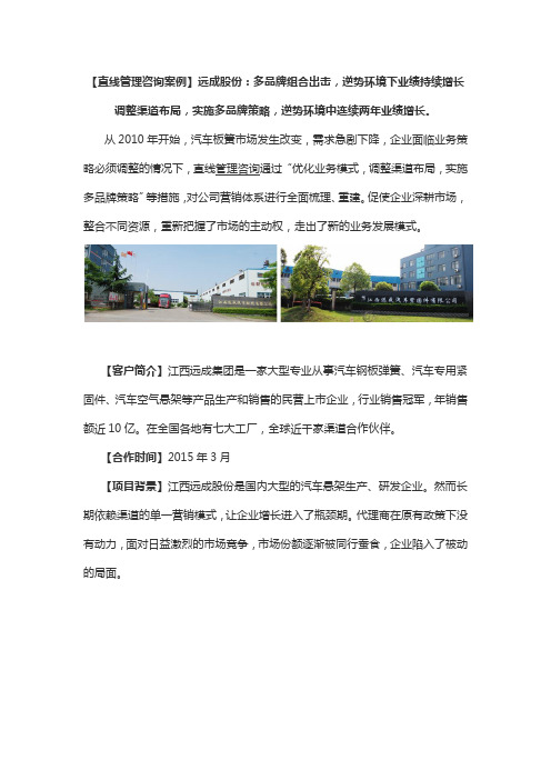 【直线管理咨询案例】远成股份：多品牌组合出击,逆势环境下业绩持续增长