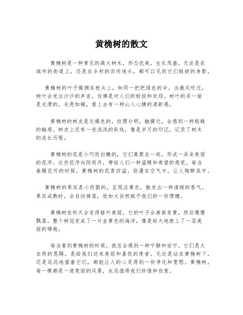 黄桷树的散文