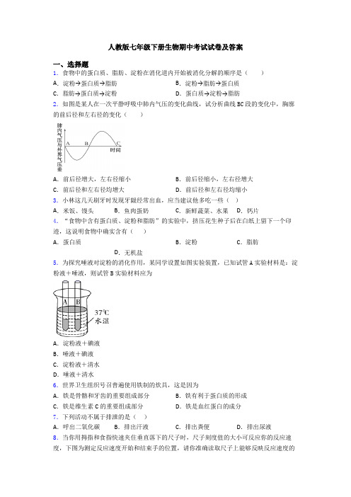 人教版七年级下册生物期中考试试卷及答案