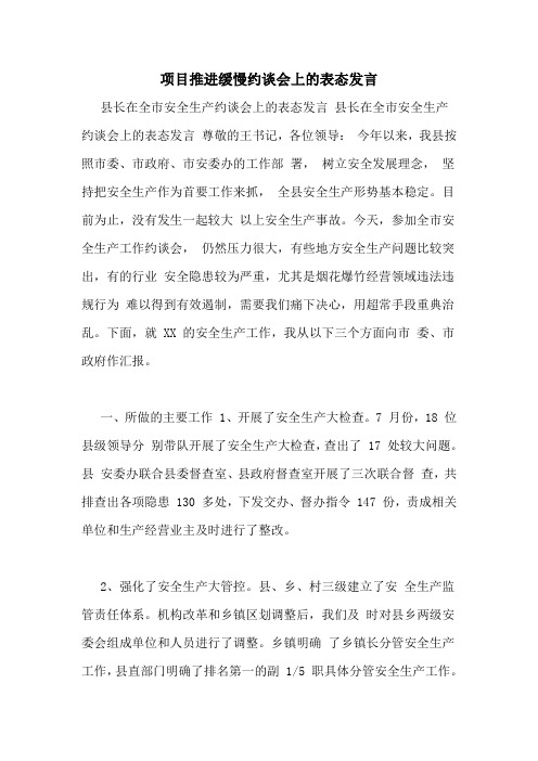 项目推进缓慢约谈会上的表态发言