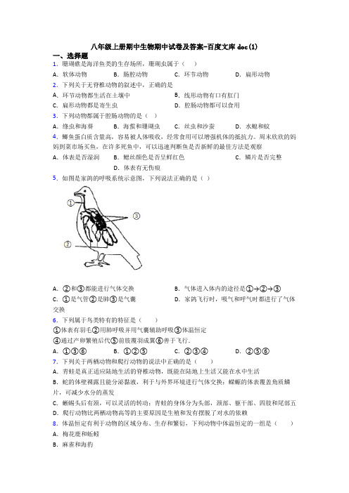 八年级上册期中生物期中试卷及答案-百度文库doc(1)