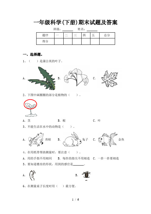 一年级科学(下册)期末试题及答案