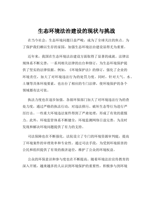 生态环境法治建设的现状与挑战