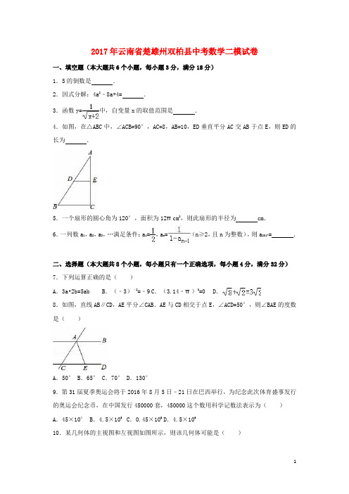 云南省楚雄州双柏县中考数学二模试卷(含解析)
