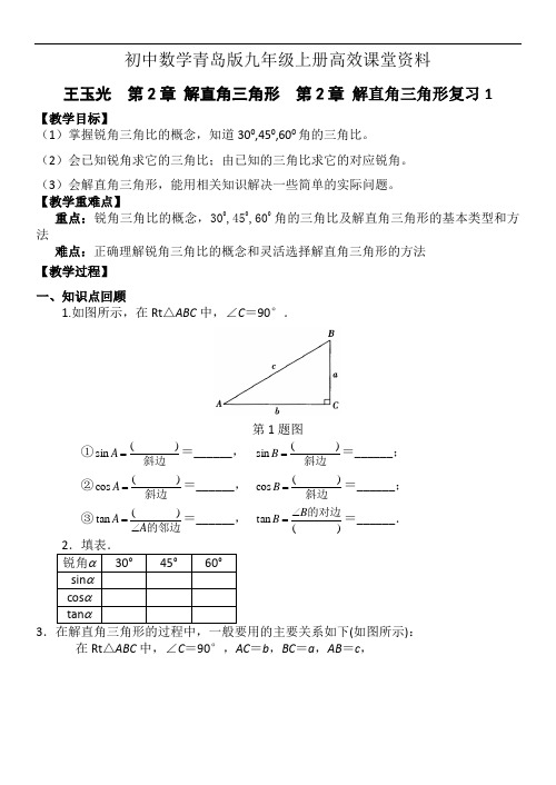 初中数学青岛版九年级上册高效课堂资料解直角三角形复习1