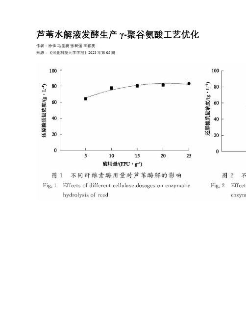 芦苇水解液发酵生产γ-聚谷氨酸工艺优化