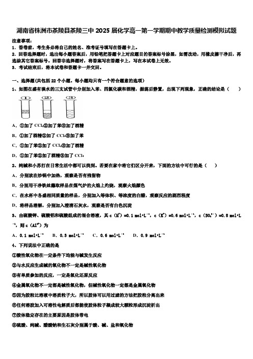 湖南省株洲市茶陵县茶陵三中2025届化学高一第一学期期中教学质量检测模拟试题含解析