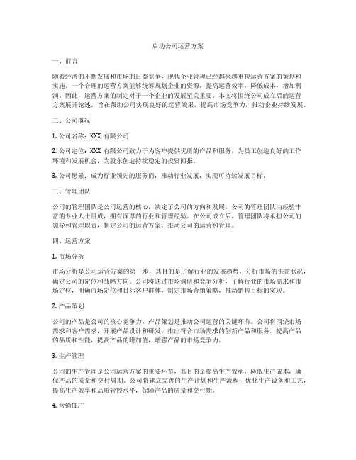 启动公司运营方案