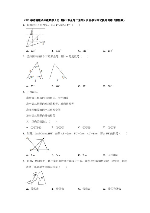 《第1章全等三角形》自主学习培优提升训练2021-2022学年苏科版八年级数学上册  