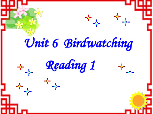 牛津译林初中八年级英语上册 Unit 6 Bird watching Reading 1课件