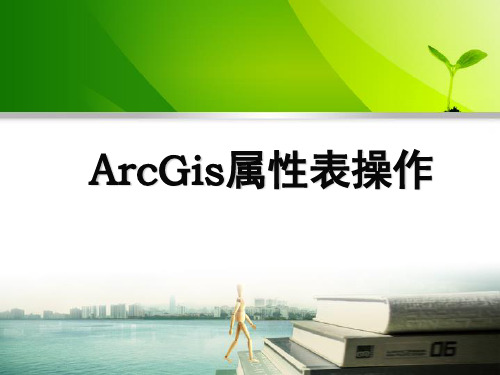 arcgis属性表操作(中高级)-文档资料