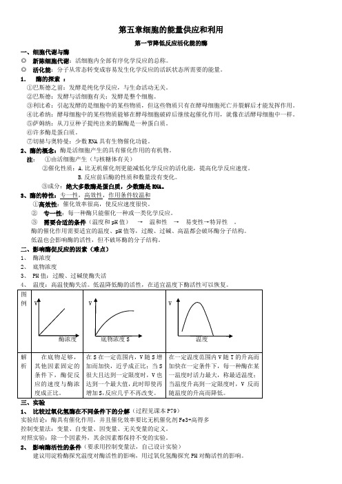 高中生物必修一第五章细胞的能量供应和利用