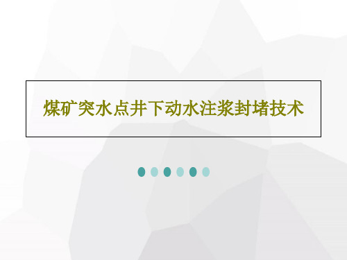 煤矿突水点井下动水注浆封堵技术PPT52页