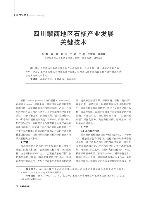 四川攀西地区石榴产业发展关键技术