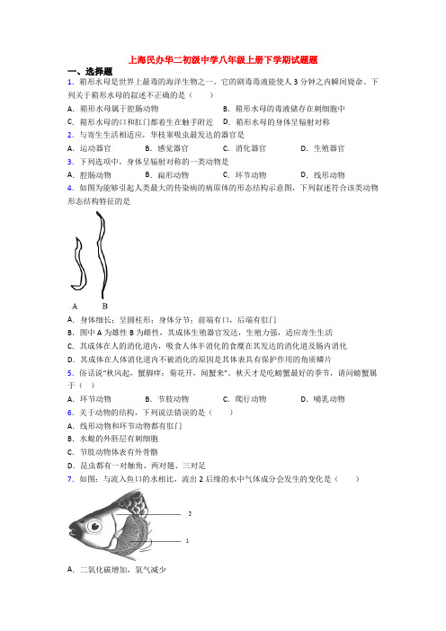 上海民办华二初级中学八年级上册下学期试题题