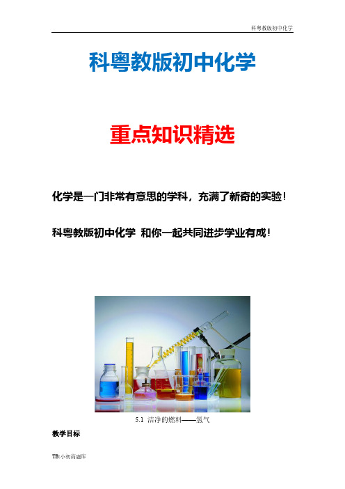 科粤教版初中化学九年级全册《洁净的燃料——氢气》参考教案2新版精选汇总