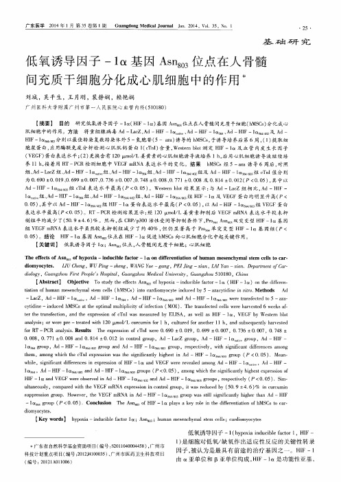 低氧诱导因子-1α基因Asn803位点在人骨髓间充质干细胞分化成心肌细胞中的作用