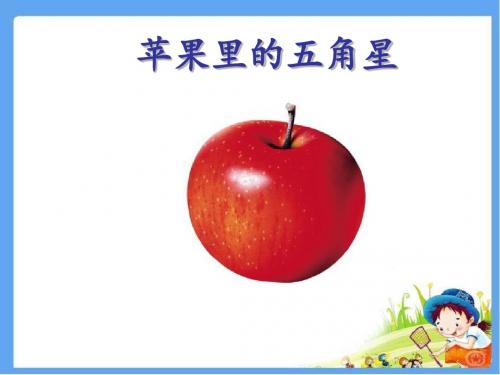 苏教版四年级语文下册《苹果里的五角星》精品公开课课件