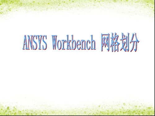 ANSYS Workbench 网格划分