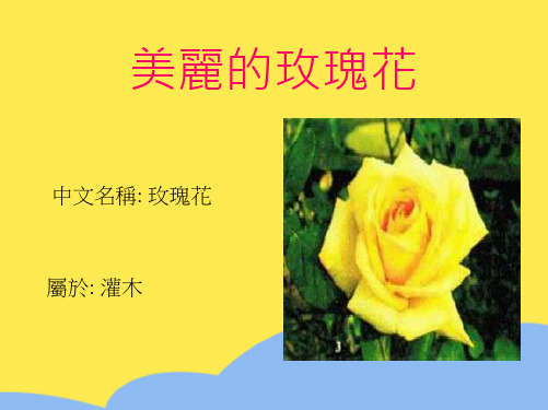 美丽的玫瑰花(“修剪”相关文档)共9张