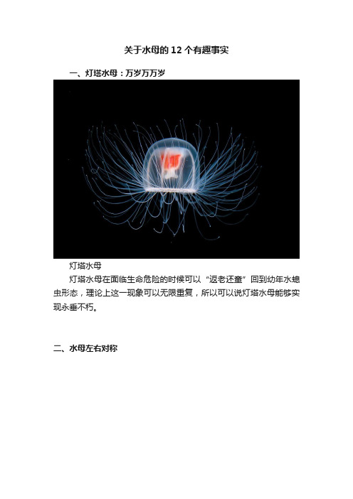 关于水母的12个有趣事实