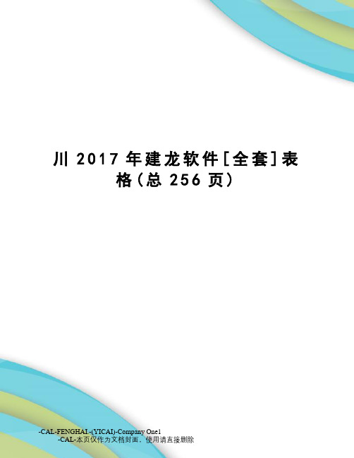 川建龙软件[全套]表格