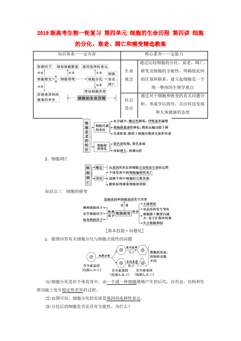 2019版高考生物一轮复习 第四单元 细胞的生命历程 第四讲 细胞的分化、衰老、凋亡和癌变精选教案.doc