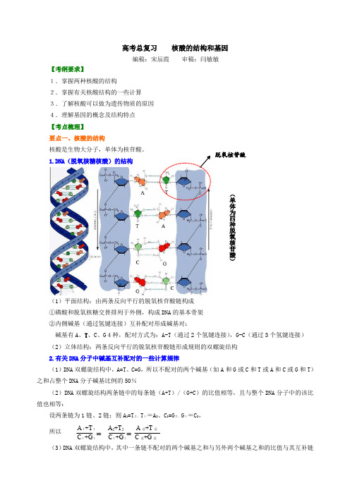 高中生物001-知识讲解——核酸的结构和基因