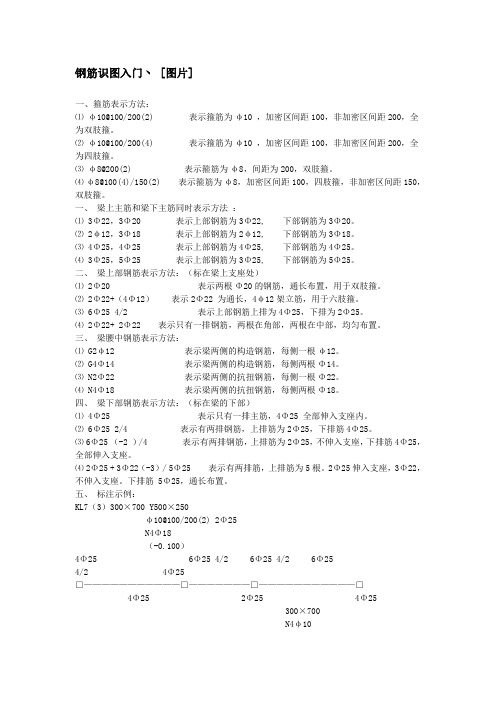 钢筋识图入门丶