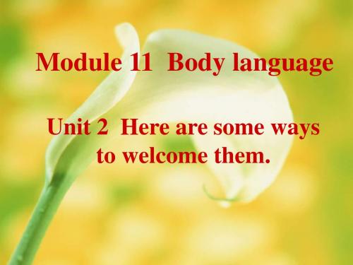 Module 11 Unit 2 Here are some ways to welcome them 课件4(外研版七年级下)